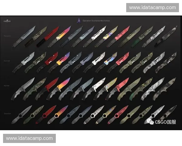 CSGO掉落刀解析与玩家心态研究 影响因素及价值变化趋势分析 CSGO掉落刀解析与玩家心态研究 影响因素及价值变化趋势分析